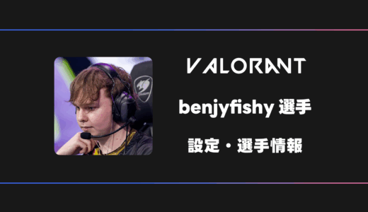 【VALORANT】benjyfishy(ベンジーフィッシー)選手の感度・設定・デバイス