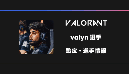 【VALORANT】valyn(バーリン)選手の感度・設定・デバイス