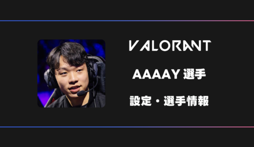【VALORANT】AAAAY(アーヤン)選手の感度・設定・デバイス