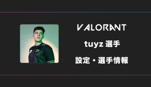 【VALORANT】tuyz(ツイズ)選手の感度・設定・デバイス