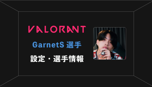 【VALORANT】GarnetS(ガーネッツ)選手の設定・感度・年齢等