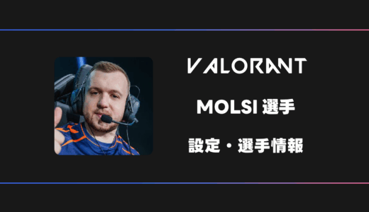 【VALORANT】MOLSI(モルシ)選手の感度・設定・デバイス