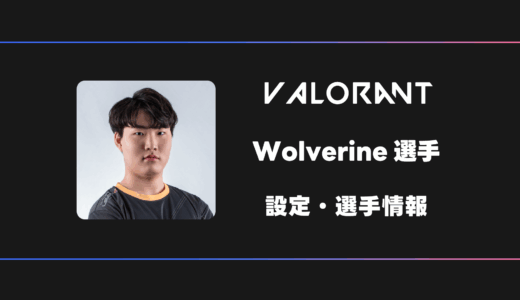 【VALORANT】Wolverine(ウルヴァリン)選手の感度・設定・デバイス
