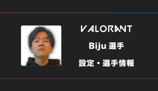 【VALORANT】Biju(ビジュ)選手の感度・設定