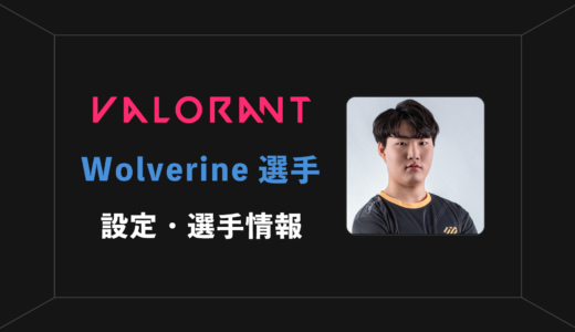 【VALORANT】Wolverine(ウルヴァリン)選手の感度・設定