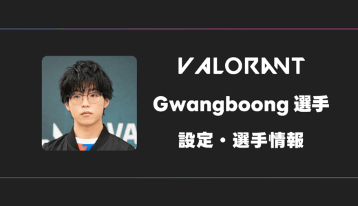 【VALORANT】Gwangboong(ガンブン)選手の感度・設定・デバイス
