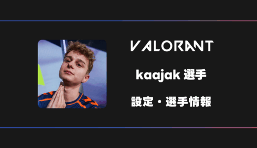 【VALORANT】kaajak(カーヤック)選手の感度・設定・デバイス