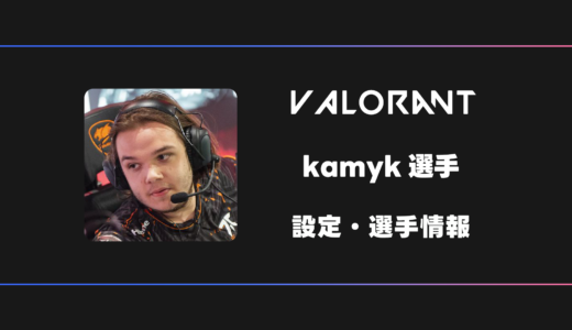 【VALORANT】kamyk(カミーク)選手の感度・設定・デバイス