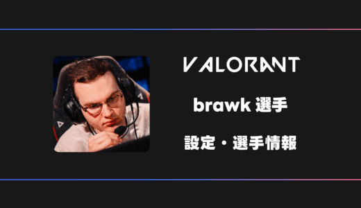 【VALORANT】brawk(ブローク)選手の感度・設定・デバイス