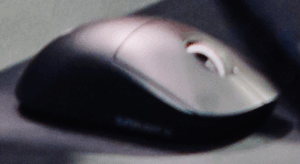 trent-mouse