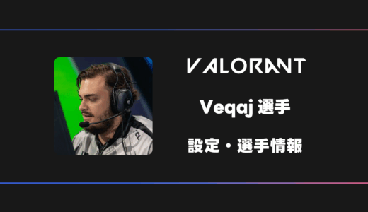 【VALORANT】 Veqaj(べカジ)選手の感度・設定・デバイス