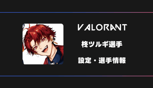 【VALORANT】柊ツルギさんの感度・設定・デバイス