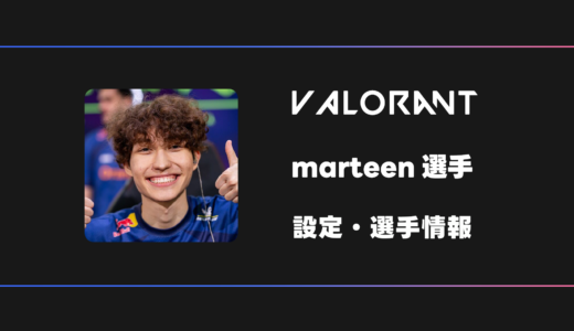 【VALORANT】marteen(マーティン)選手の感度・設定・デバイス