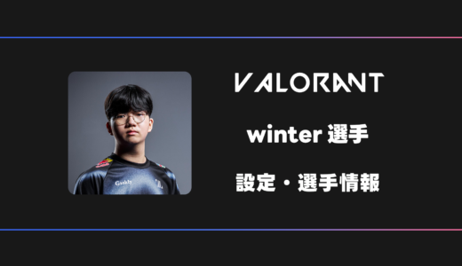 【VALORANT】winter(ウィンター)選手の感度・設定・デバイス