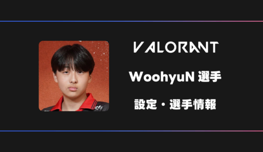 【VALORANT】WoohyuN(ウヒョン)選手の感度・設定・デバイス