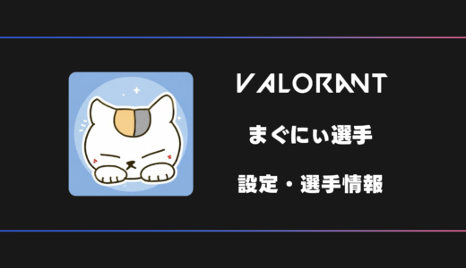 【VALORANT】まぐにぃ選手の感度・設定・デバイス