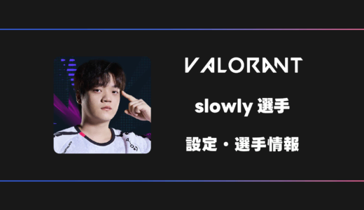 【VALORANT】slowly(スローリー)選手の感度・設定・デバイス