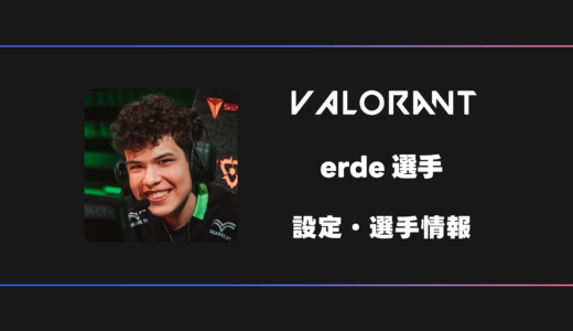 【VALORANT】erde(エルデ)選手の感度・設定・デバイス
